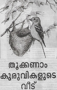 Thukanam Kuuvikalude Veedu